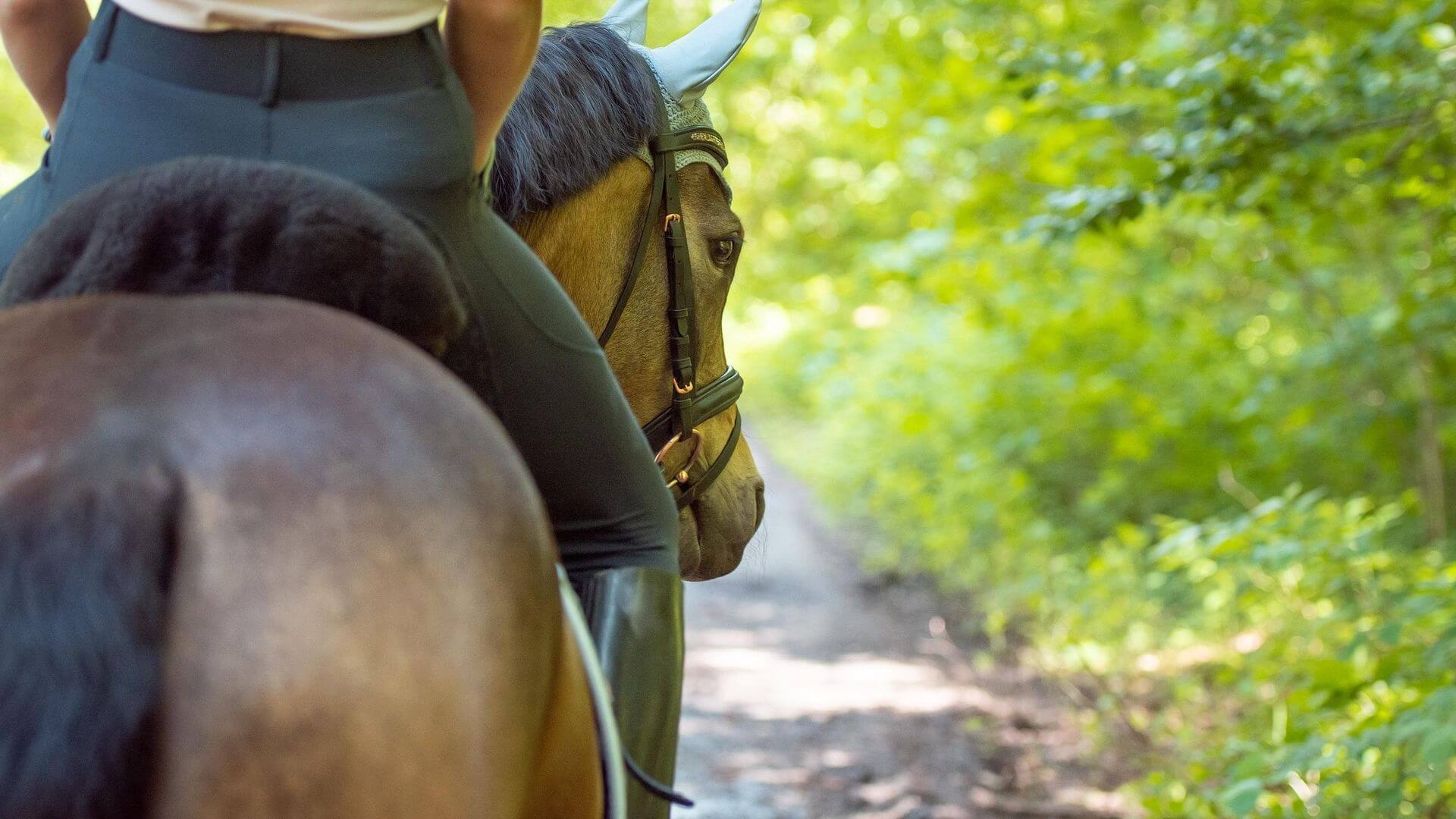 Horse riding Zakynthos