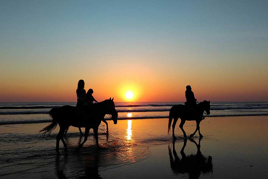 Horse riding Zakynthos